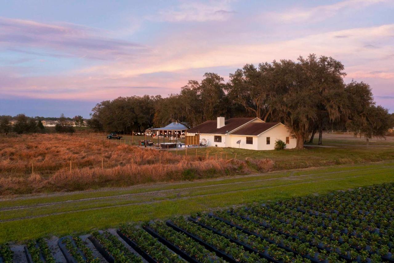 Plant City Home With Outdoor Pool! ภายนอก รูปภาพ